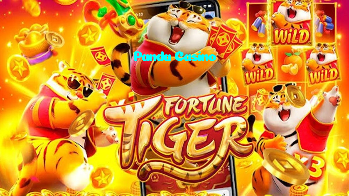 available types of Panda Casino bet including pre-match live express and system bets
